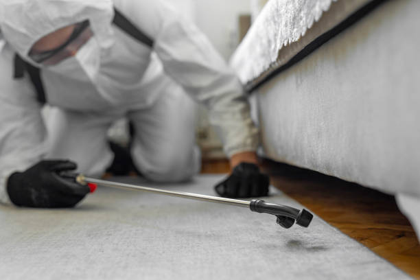 Professional Ant Control technician working in Linden, TN
