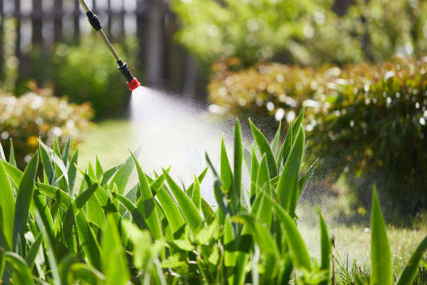 24/7 Emergency Ant Control experts in Linden, TN