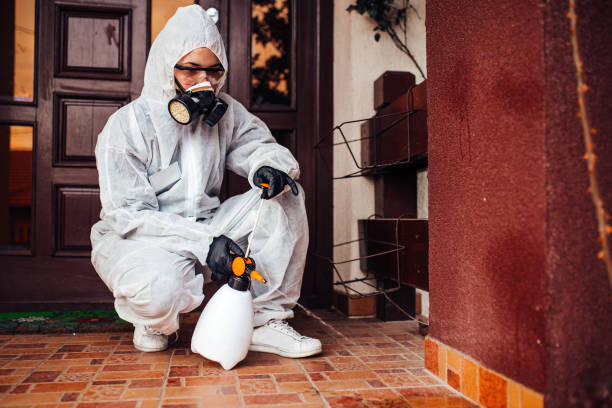 Reliable Ant Control contractor in Linden, TN by Nex Pest Control